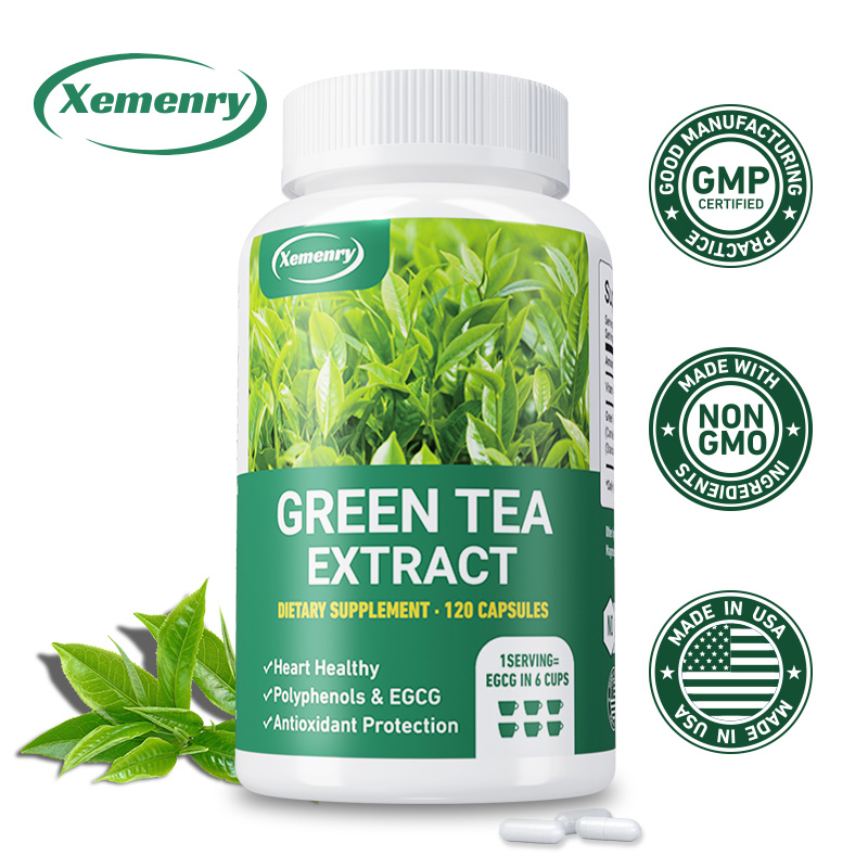Green Tea Extract - Fast Fat B - Green Tea Extract Fat avaliação e preço