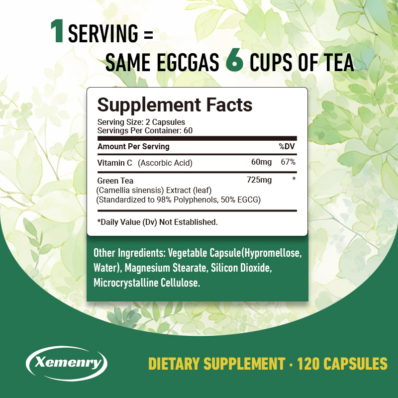 Green Tea Extract - Fast Fat B - Green Tea Extract Fat avaliação e preço