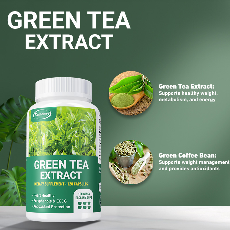 Green Tea Extract - Fast Fat B - Green Tea Extract Fat avaliação e preço