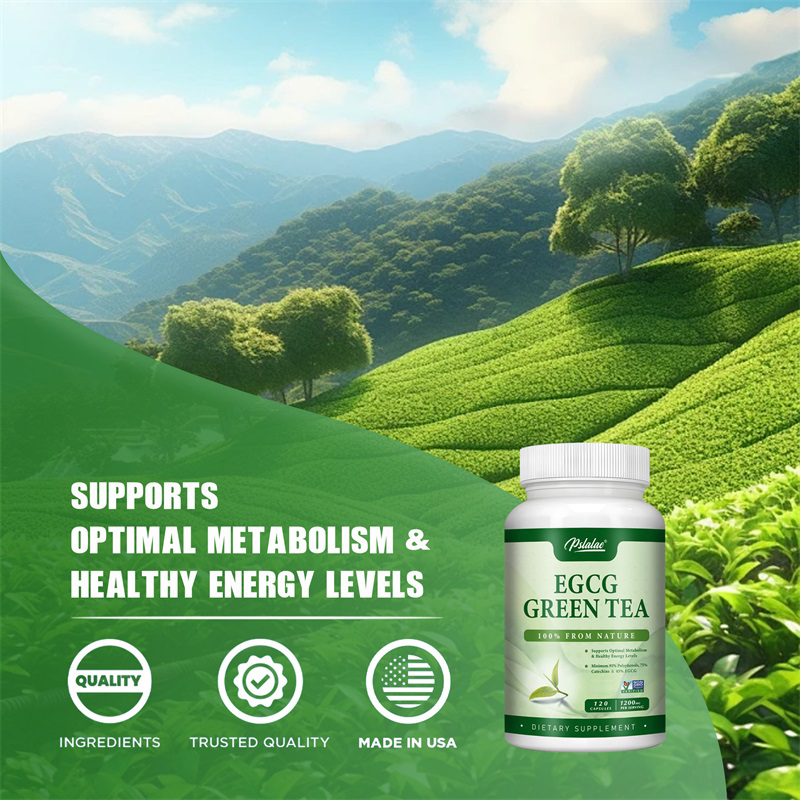 EGCG Green Tea Extract - Boost - Green Tea Extract Fat avaliação e preço