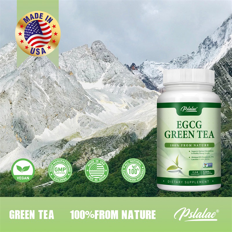 EGCG Green Tea Extract - Boost - Green Tea Extract Fat avaliação e preço