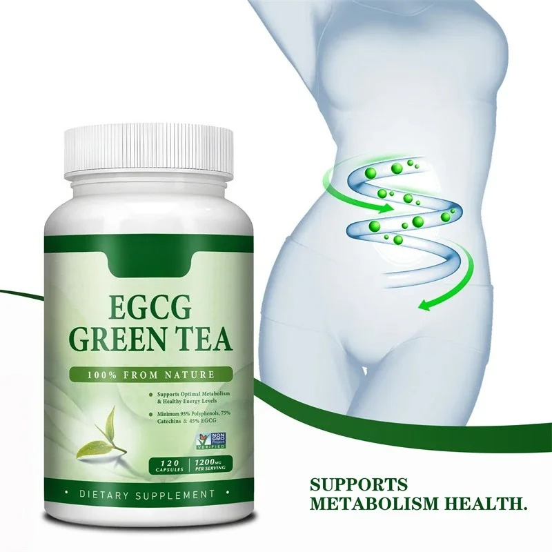 EGCG Green Tea Extract - Boost - Green Tea Extract Fat avaliação e preço