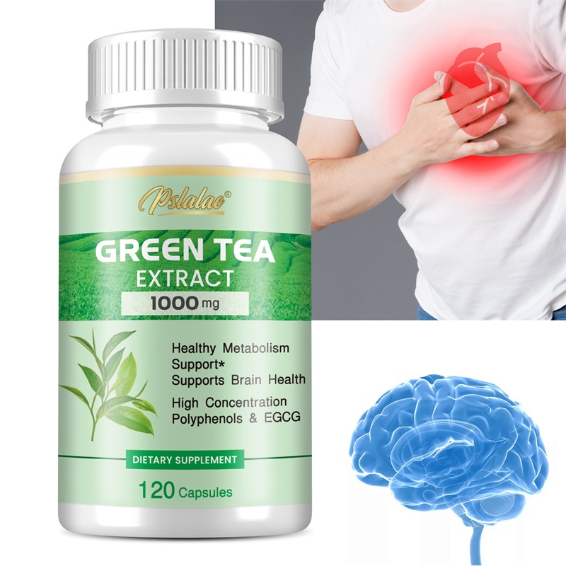 Green Tea Extract - with 98% P - Green Tea Extract Fat avaliação e preço