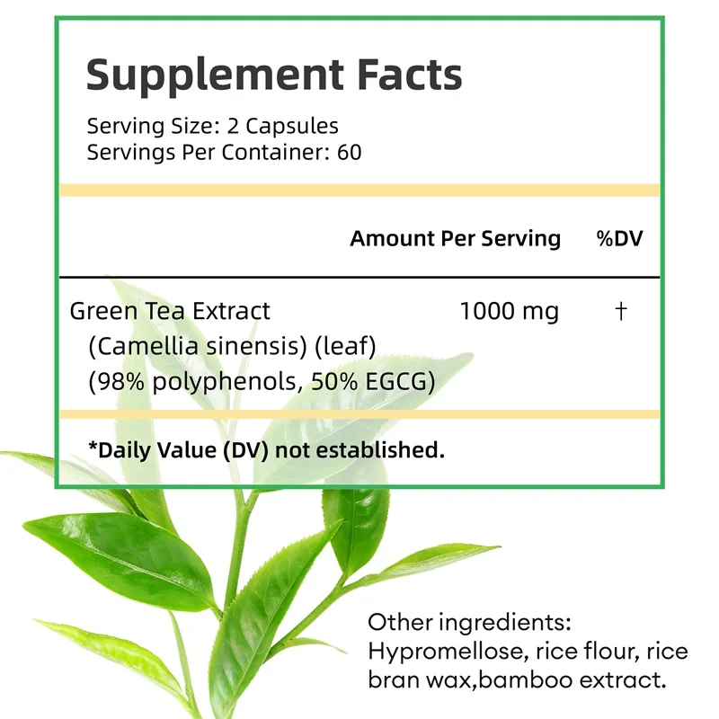 Green Tea Extract - with 98% P - Green Tea Extract Fat avaliação e preço