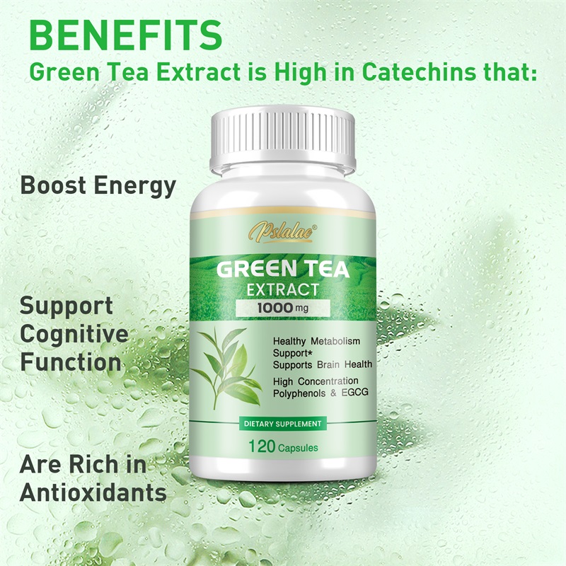 Green Tea Extract - with 98% P - Green Tea Extract Fat avaliação e preço