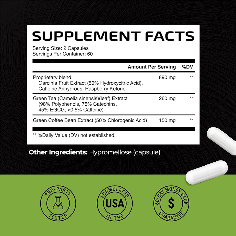 Green Tea Fat Burner - Support - Green Tea Extract Fat avaliação e preço