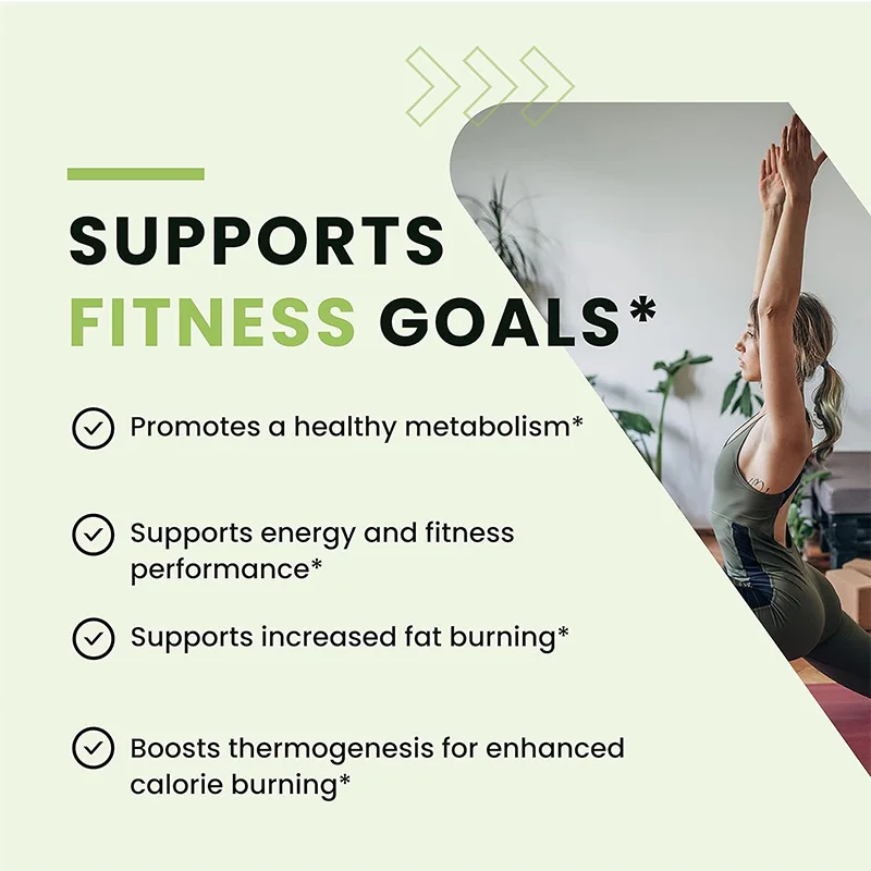 Green Tea Fat Burner - Support - Green Tea Extract Fat avaliação e preço